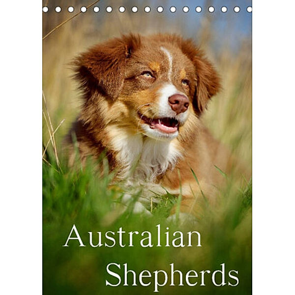 Australian Shepherds (Tischkalender 2022 DIN A5 hoch), Nicole Noack