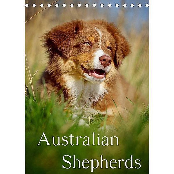 Australian Shepherds (Tischkalender 2023 DIN A5 hoch), Nicole Noack