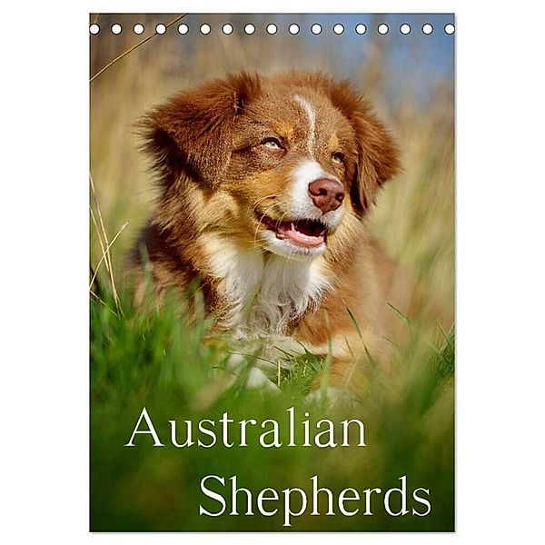 Australian Shepherds (Tischkalender 2024 DIN A5 hoch), CALVENDO Monatskalender, Nicole Noack