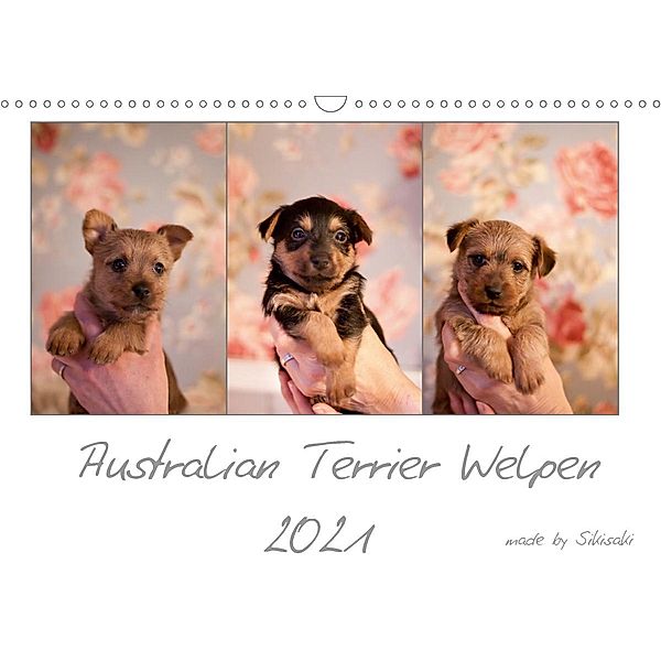 Australian Terrier Welpen (Wandkalender 2021 DIN A3 quer), Sikisaki Tierfotografie