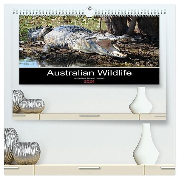 Australian Wildlife (hochwertiger Premium Wandkalender 2024 DIN A2 quer), Kunstdruck in Hochglanz, King Brown