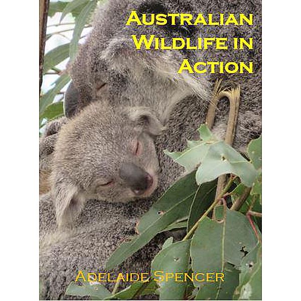 Australian Wildlife in Action, Adelaide Spencer
