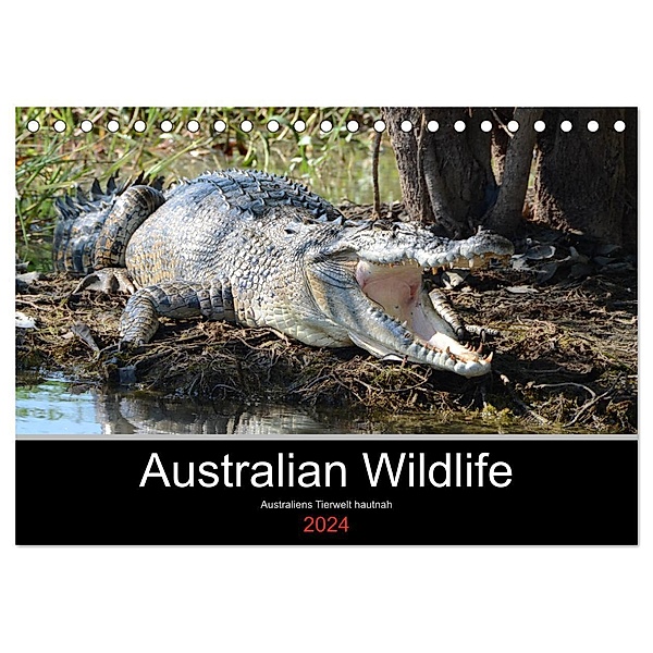 Australian Wildlife (Tischkalender 2024 DIN A5 quer), CALVENDO Monatskalender, King Brown