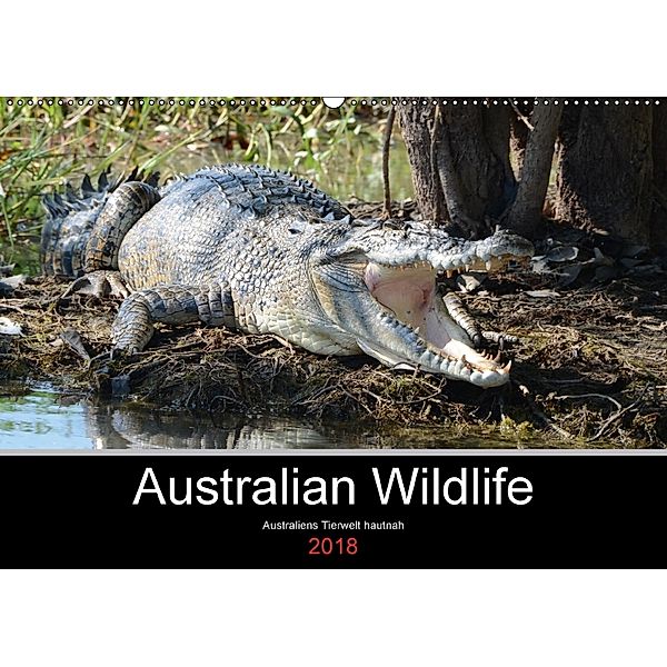 Australian Wildlife (Wandkalender 2018 DIN A2 quer) Dieser erfolgreiche Kalender wurde dieses Jahr mit gleichen Bildern, King Brown