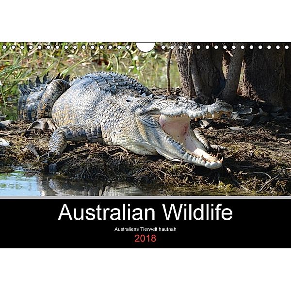 Australian Wildlife (Wandkalender 2018 DIN A4 quer) Dieser erfolgreiche Kalender wurde dieses Jahr mit gleichen Bildern, King Brown