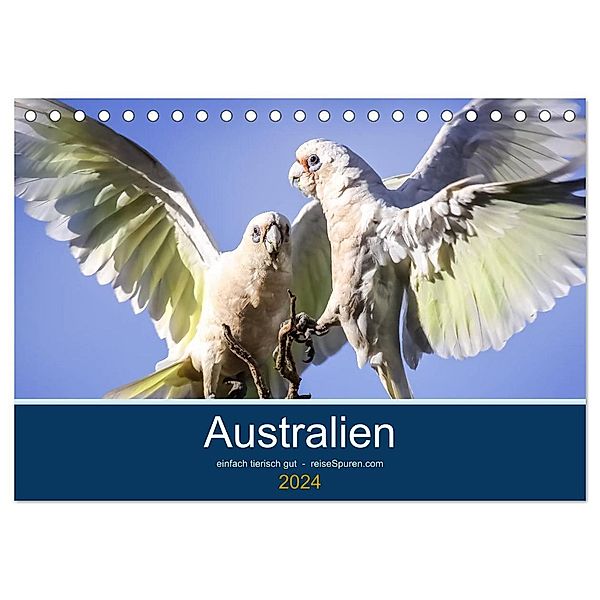 Australien - einfach tierisch gut (Tischkalender 2024 DIN A5 quer), CALVENDO Monatskalender, Uwe Bergwitz