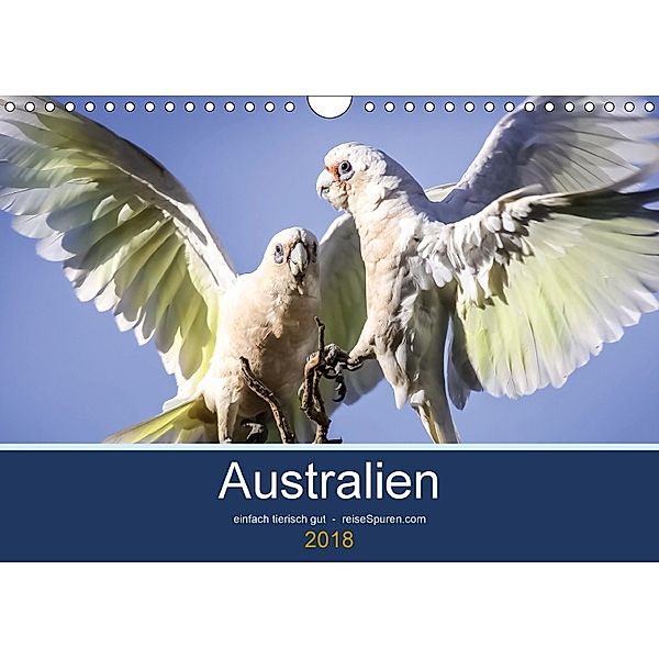 Australien - einfach tierisch gut (Wandkalender 2018 DIN A4 quer) Dieser erfolgreiche Kalender wurde dieses Jahr mit gle, Uwe Bergwitz