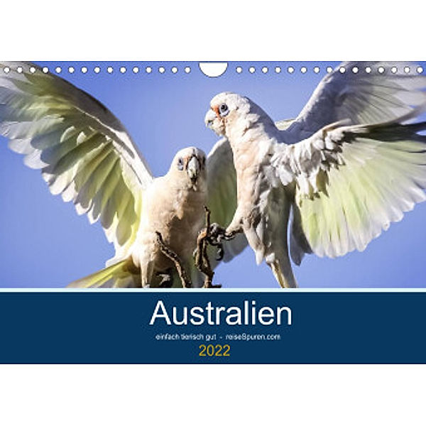 Australien - einfach tierisch gut (Wandkalender 2022 DIN A4 quer), Uwe Bergwitz