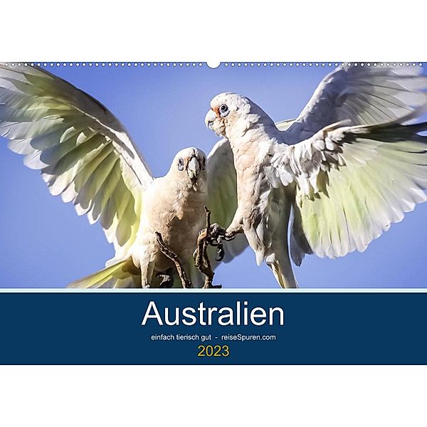 Australien - einfach tierisch gut (Wandkalender 2023 DIN A2 quer), Uwe Bergwitz