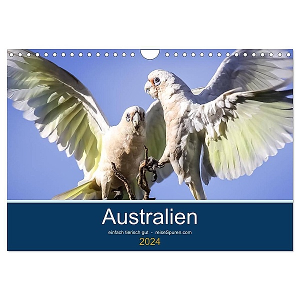 Australien - einfach tierisch gut (Wandkalender 2024 DIN A4 quer), CALVENDO Monatskalender, Uwe Bergwitz
