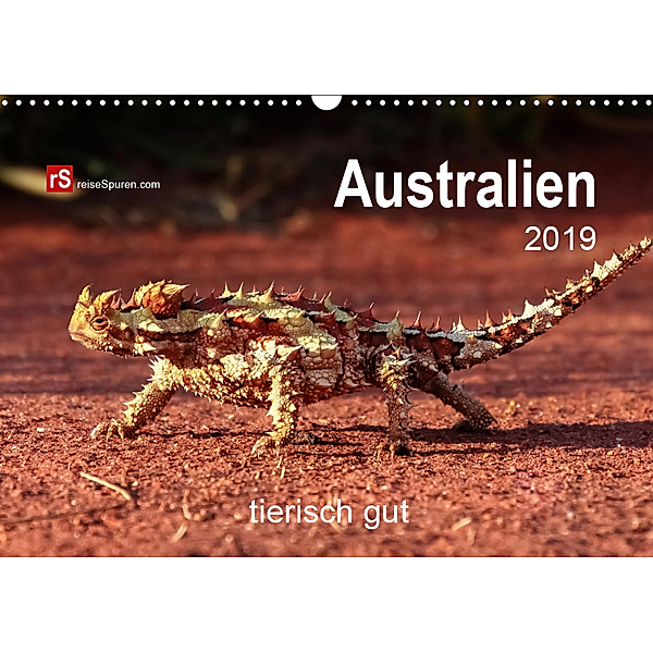 Australien tierisch gut 2019 (Wandkalender 2019 DIN A3 quer), Uwe Bergwitz