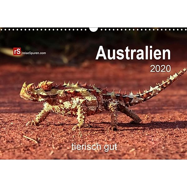 Australien tierisch gut 2020 (Wandkalender 2020 DIN A3 quer), Uwe Bergwitz