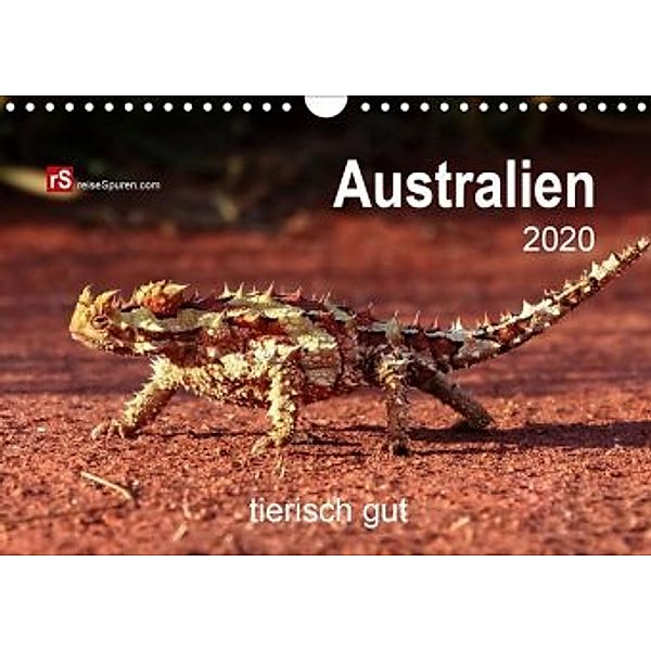 Australien tierisch gut 2020 (Wandkalender 2020 DIN A4 quer), Uwe Bergwitz