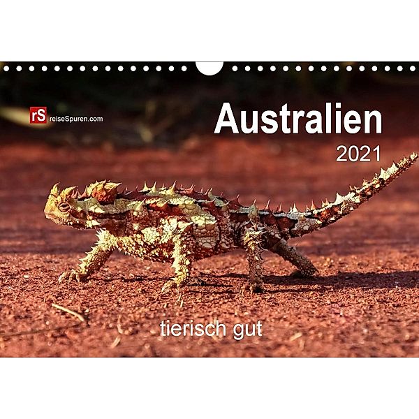 Australien tierisch gut 2021 (Wandkalender 2021 DIN A4 quer), Uwe Bergwitz