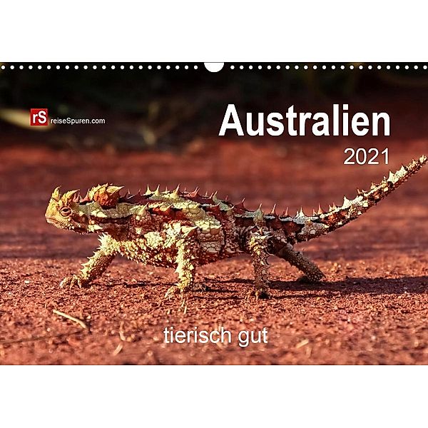 Australien tierisch gut 2021 (Wandkalender 2021 DIN A3 quer), Uwe Bergwitz