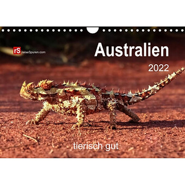 Australien  tierisch gut  2022 (Wandkalender 2022 DIN A4 quer), Uwe Bergwitz