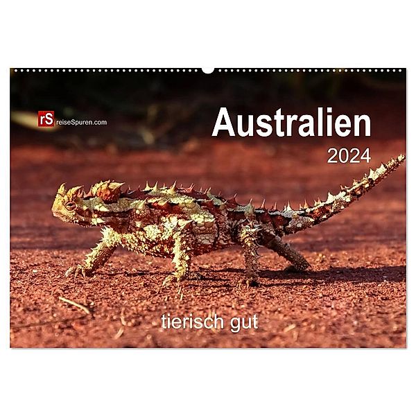 Australien tierisch gut 2024 (Wandkalender 2024 DIN A2 quer), CALVENDO Monatskalender, Uwe Bergwitz