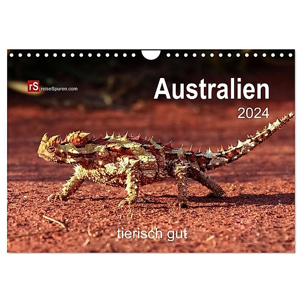 Australien tierisch gut 2024 (Wandkalender 2024 DIN A4 quer), CALVENDO Monatskalender, Uwe Bergwitz