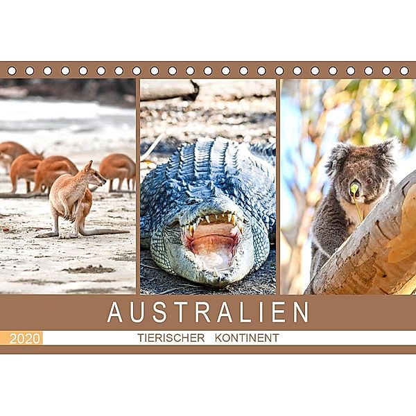 Australien, tierischer Kontinent (Tischkalender 2020 DIN A5 quer), Robert Styppa