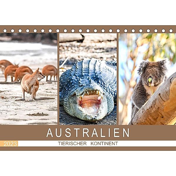 Australien, tierischer Kontinent (Tischkalender 2023 DIN A5 quer), Robert Styppa