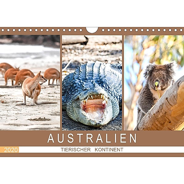 Australien, tierischer Kontinent (Wandkalender 2020 DIN A4 quer), Robert Styppa
