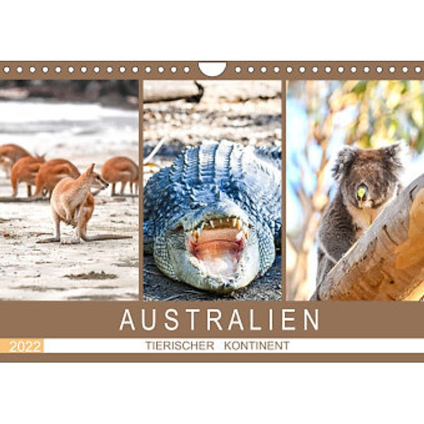 Australien, tierischer Kontinent (Wandkalender 2022 DIN A4 quer), Robert Styppa