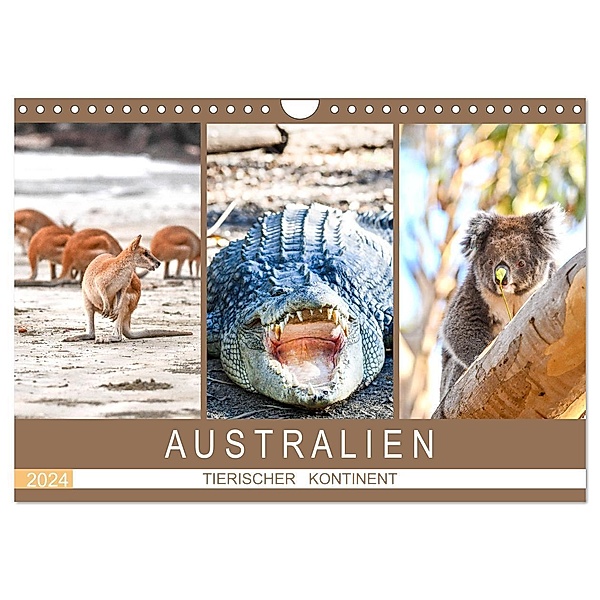 Australien, tierischer Kontinent (Wandkalender 2024 DIN A4 quer), CALVENDO Monatskalender, Robert Styppa