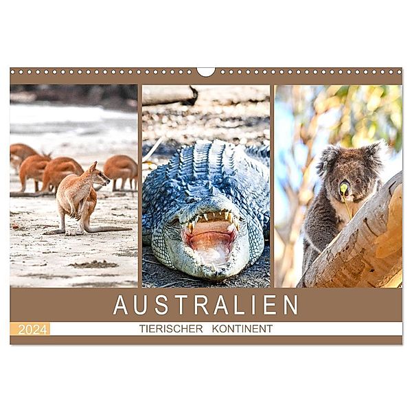 Australien, tierischer Kontinent (Wandkalender 2024 DIN A3 quer), CALVENDO Monatskalender, Robert Styppa