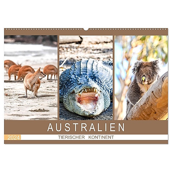 Australien, tierischer Kontinent (Wandkalender 2024 DIN A2 quer), CALVENDO Monatskalender, Robert Styppa
