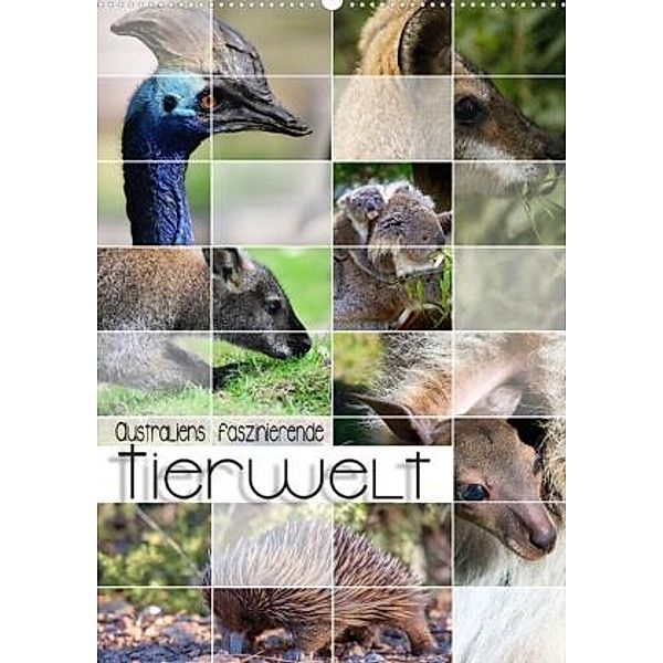Australiens faszinierende Tierwelt (Premium, hochwertiger DIN A2 Wandkalender 2022, Kunstdruck in Hochglanz), Renate Utz