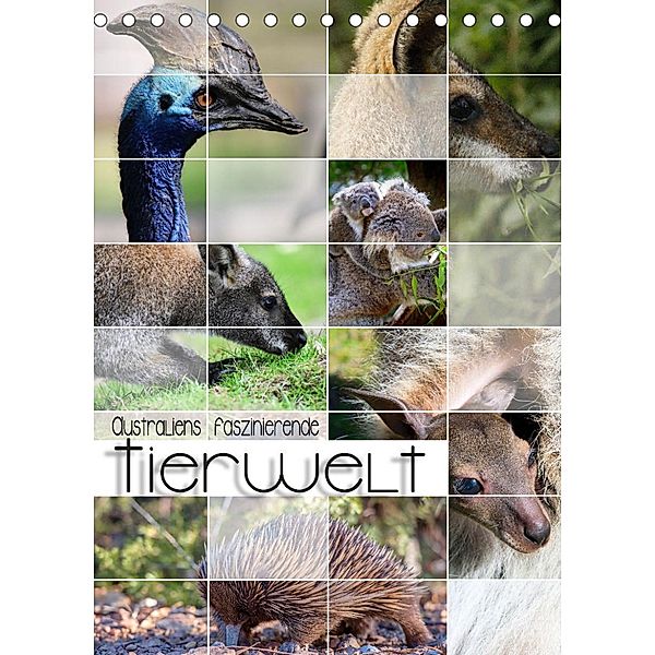 Australiens faszinierende Tierwelt (Tischkalender 2023 DIN A5 hoch), Renate Utz