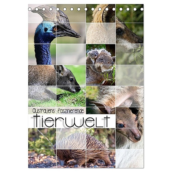 Australiens faszinierende Tierwelt (Tischkalender 2024 DIN A5 hoch), CALVENDO Monatskalender, Renate Utz