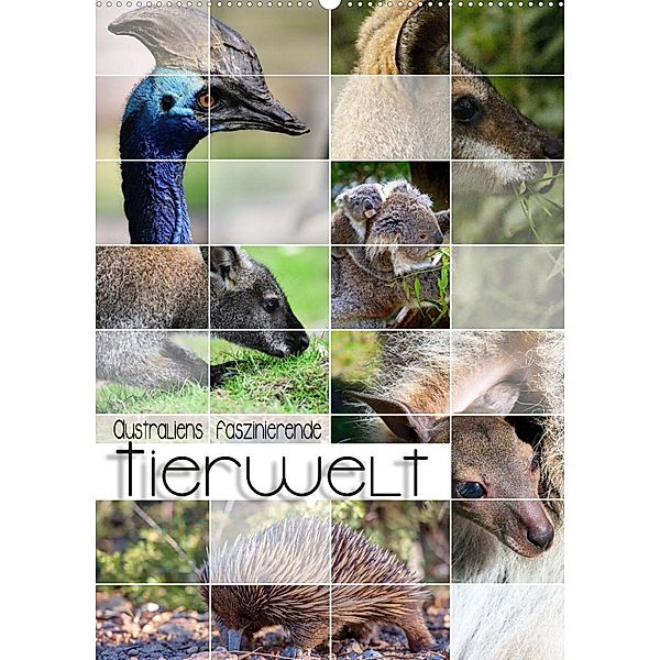 Australiens faszinierende Tierwelt (Wandkalender 2023 DIN A2 hoch), Renate Utz