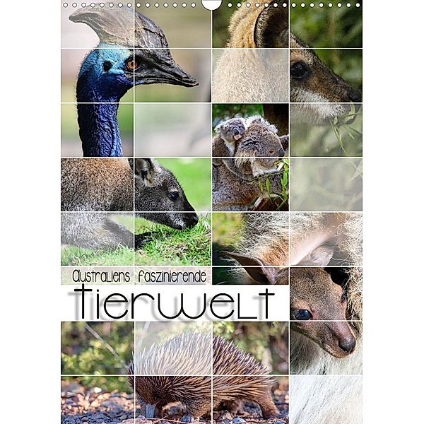 Australiens faszinierende Tierwelt (Wandkalender 2023 DIN A3 hoch), Renate Utz