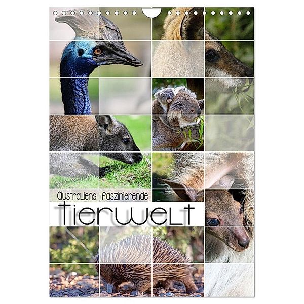 Australiens faszinierende Tierwelt (Wandkalender 2024 DIN A4 hoch), CALVENDO Monatskalender, Renate Utz