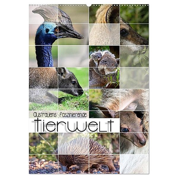 Australiens faszinierende Tierwelt (Wandkalender 2025 DIN A2 hoch), CALVENDO Monatskalender, Calvendo, Renate Utz
