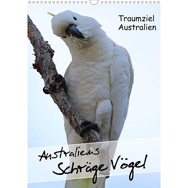 Australiens schräge Vögel 2023 (Wandkalender 2023 DIN A3 hoch), Kinderaktionär