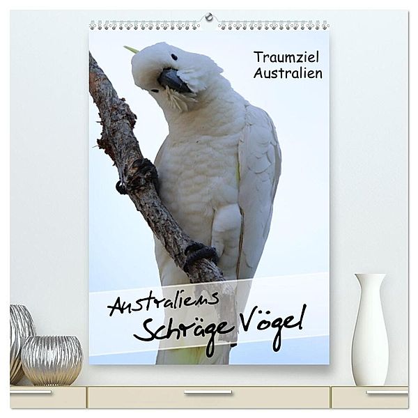 Australiens schräge Vögel 2024 (hochwertiger Premium Wandkalender 2024 DIN A2 hoch), Kunstdruck in Hochglanz, Kinderaktionär