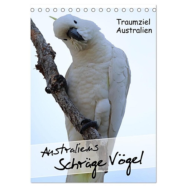 Australiens schräge Vögel 2024 (Tischkalender 2024 DIN A5 hoch), CALVENDO Monatskalender, Kinderaktionär