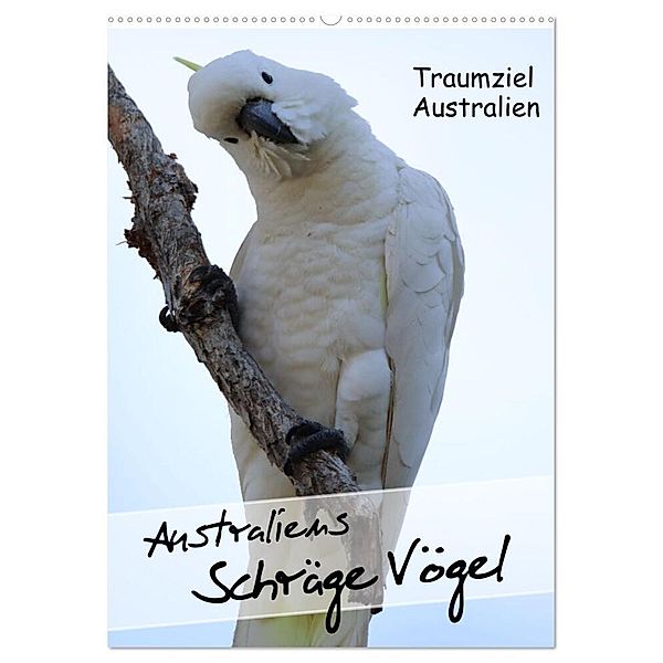 Australiens schräge Vögel 2024 (Wandkalender 2024 DIN A2 hoch), CALVENDO Monatskalender, Kinderaktionär