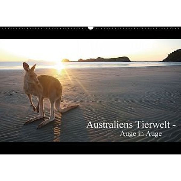 Australiens Tierwelt - Auge in Auge / AT-Version (Wandkalender 2016 DIN A2 quer), Martin Wasilewski