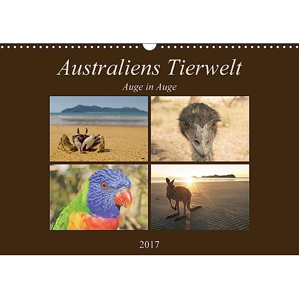 Australiens Tierwelt - Auge in Auge / AT-Version (Wandkalender 2017 DIN A3 quer), Martin Wasilewski