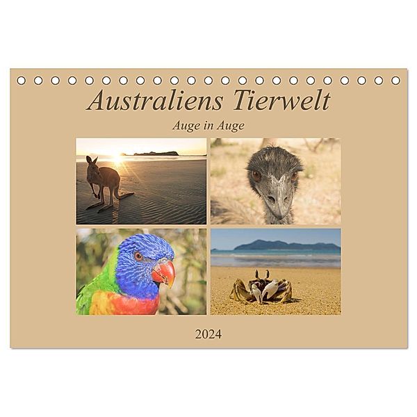 Australiens Tierwelt - Auge in Auge (Tischkalender 2024 DIN A5 quer), CALVENDO Monatskalender, Martin Wasilewski