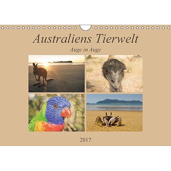 Australiens Tierwelt - Auge in Auge (Wandkalender 2017 DIN A4 quer), Martin Wasilewski