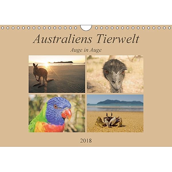 Australiens Tierwelt - Auge in Auge (Wandkalender 2018 DIN A4 quer), Martin Wasilewski