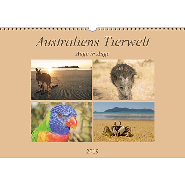 Australiens Tierwelt - Auge in Auge (Wandkalender 2019 DIN A3 quer), Martin Wasilewski
