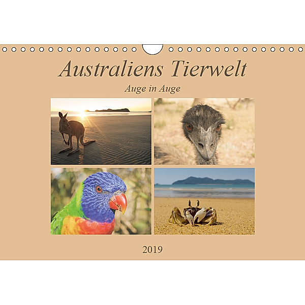 Australiens Tierwelt - Auge in Auge (Wandkalender 2019 DIN A4 quer), Martin Wasilewski