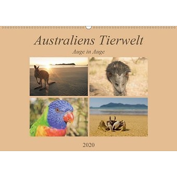 Australiens Tierwelt - Auge in Auge (Wandkalender 2020 DIN A2 quer), Martin Wasilewski