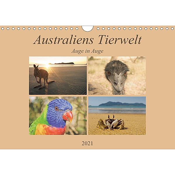 Australiens Tierwelt - Auge in Auge (Wandkalender 2021 DIN A4 quer), Martin Wasilewski