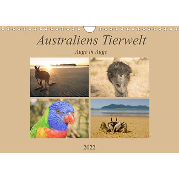Australiens Tierwelt - Auge in Auge (Wandkalender 2022 DIN A4 quer), Martin Wasilewski